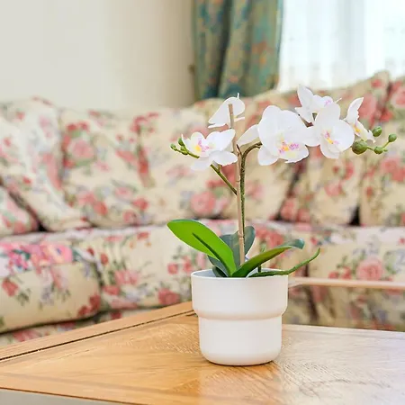 Apartman Silent Old Town Tallinn