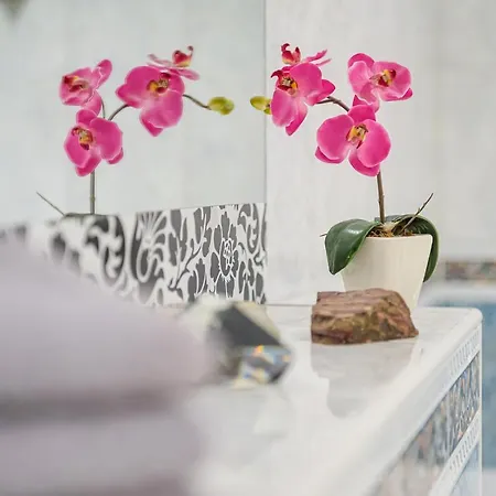 Apartman Silent Old Town Tallinn